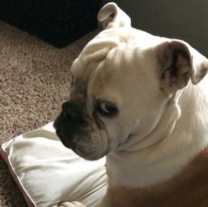 Meet your Posher, Sean